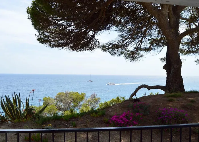 Appartements Sol Y Mar - Cala Llevado 2